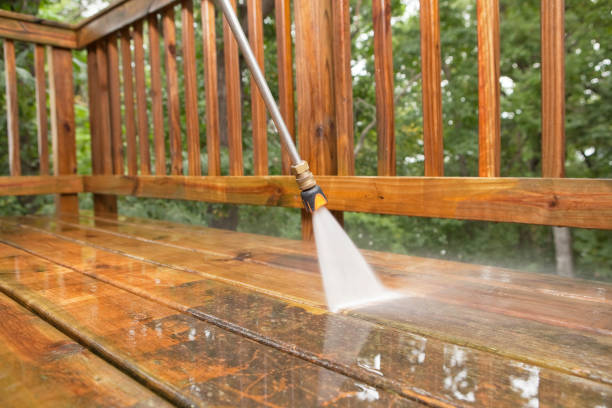 Best Solar Panel Cleaning  in Pahokee, FL
